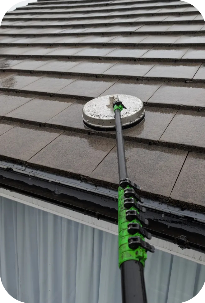 Roof Cleaning